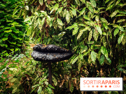 Grandeur Nature II, le festival d'art contemporain gratuit au parc du Château de Fontainebleau - A7C02755