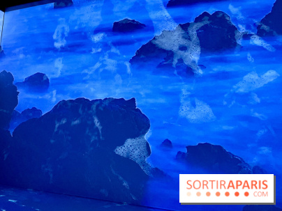 Topologie de l’Eau : Roches, Plantes et Vent - IMG 3235