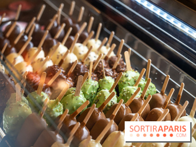 Chapon lance son bar à esquimaux cet été  - A7C04250