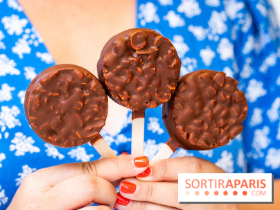 Les bouchées glacées de la Chocolaterie William Artigue, les esquimaux gourmands - A7C04178