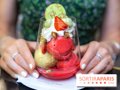 Les glaces et coupes glacées de Pierre Hermé pour l'été  - A7C04943