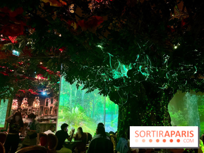 Wonderwoods - IMG 3810