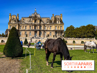 Tous en piste ! à Maisons-Laffitte (78): poneys, calèche et spectacles équestres gratuits au château