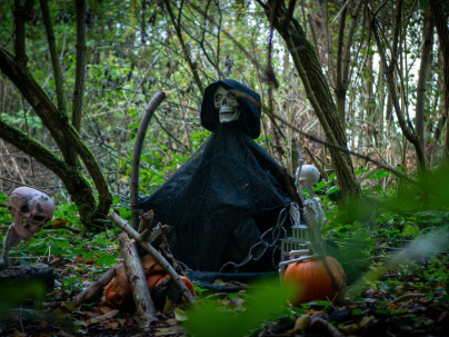 Les Forêts de la Terreur à Sherwood Parc - P1290244