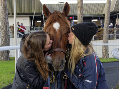 Le Meeting d'hiver arrive en Novembre à  l’Hippodrome Paris-Vincennes - 2