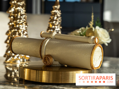 Bûche de Noël du Jules Verne : Voyage Extraordinaire - A7C09577