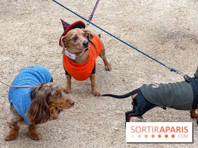 Paris Sausage Walk, la Marche des Teckels 2025