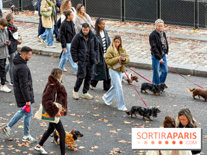 Paris Sausage Walk, la Marche des Teckels 2025 - Facetune 19 09 2026 23 19 22