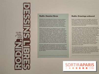 Rodin, dessins libres : une exposition d'œuvres rarement montrées au musée Rodin se dévoile