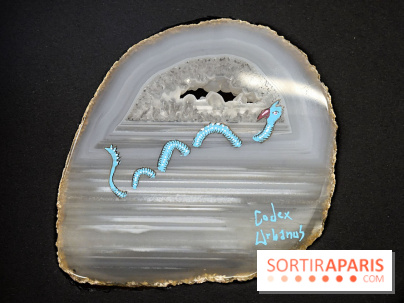 Codex on the Rocks, nos photos de l'expo au Musée de Minéralogie à Paris