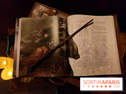 Visuels Harry Potter