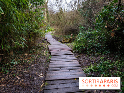 La source de l'Yvette : une statue mystérieuse dans les Yvelines - A7C05601