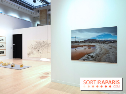 Exposition Contraste et indifférence au Centre culturel canadien - nos photos