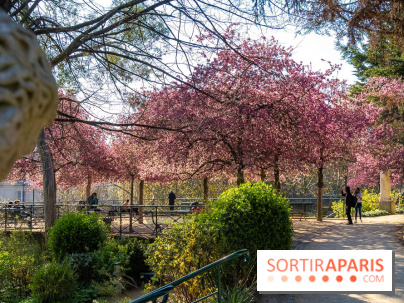 Les pommiers et cerisiers en fleurs du Jardin de Reuilly, Parc de Reuilly à Paris 12e - photos  - A7C09295