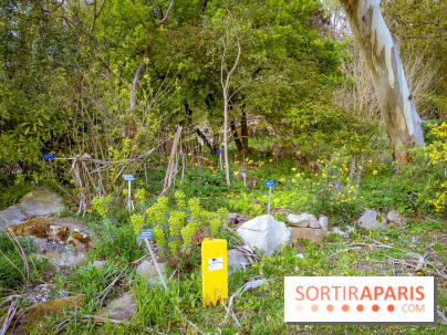 Le jardin botanique de Launay et arboretum de l'Université Paris Saclay à Orsay - les photos - A7C09556