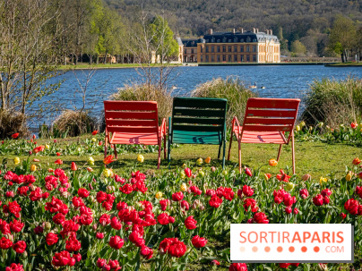 Les tulipes du Château de Dampierre, son jardin anglais et le jardin Le Nôtre