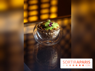 Rivages restaurent de la mer du Scribe Opéra Paris 9e, les photos - amuse bouche