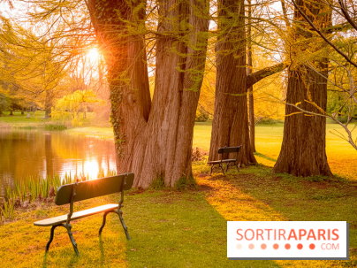 Château de Courson et son domaine : Parc Botanique et Jardin Remarquable en Région Parisienne  - A7C02963 Edit