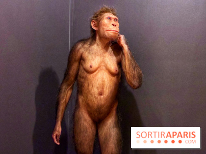 Préhistoire, entre utopie et réalité  - IMG 5555