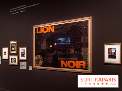 Exposition Jacques Villeglé, Paris à l’arraché au musée Carnavalet - photos