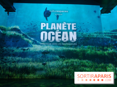 Plongez à la découverte de Planète Océan, l’exposition immersive de l’Atelier des Lumières
