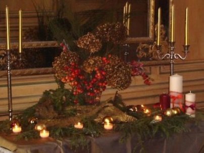 Noël à Thoiry 2010