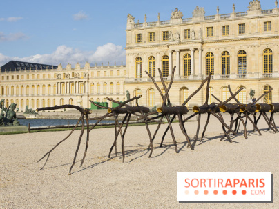Penone au Château de Versailles, Spazio di luce | Espace de lumière