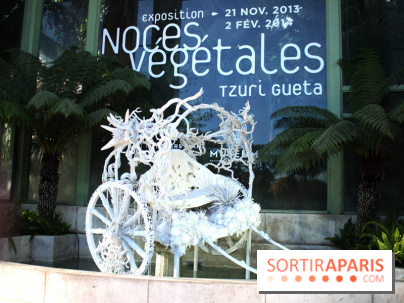 Noces Végétales au Jardin des Plantes : la calèche