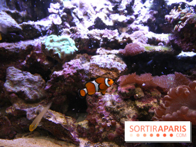 Aquarium de la Porte Dorée à Paris