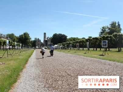 Journées de la Rose 2014