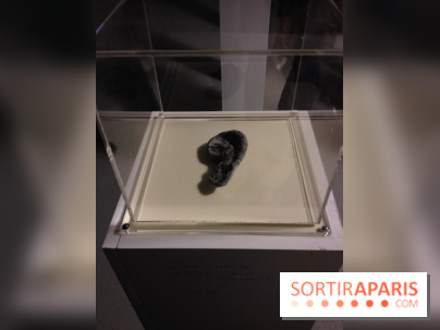 Archipel Secret au Palais de Tokyo