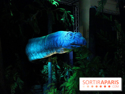 Autour des dinosaures au Palais de la Découverte