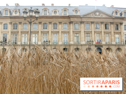 Gad Weil installe son Champ de Blés Place Vendôme