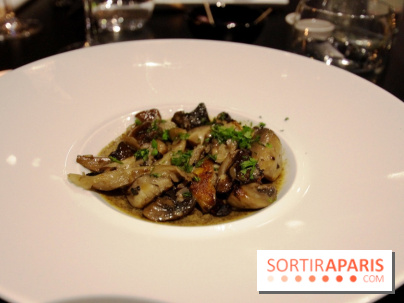 Le Balcon : le restaurant panoramique de la Philharmonie de Paris