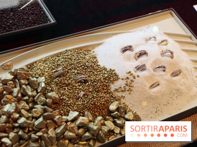 Vente aux Enchères Christian Bernard