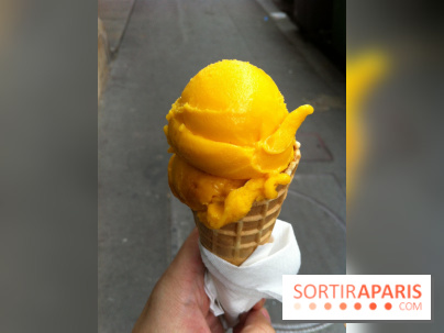 Bac à Glace, Sorbet Mangue