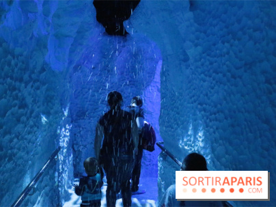 Les Manchots de l'Aquarium Sea Life