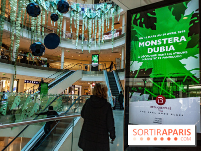 Exposition Monstera Dubia à Beaugrenelle