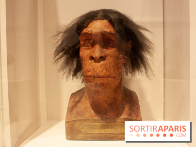 Exposition Néanderthal au Musée de l'Homme