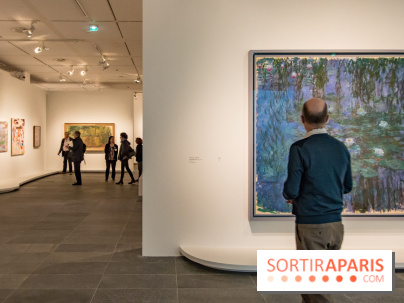 Les Nymphéas et artistes abstraits au Musée de l'Orangerie