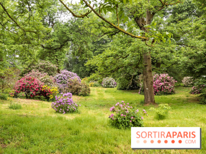 L'Arboretum de Versailles - Chevreloup