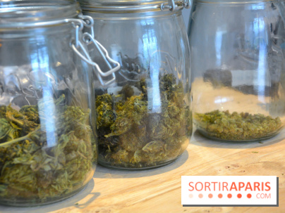 Le Lab du bonheur à Paris, un Coffee Shop CBD bien-être 