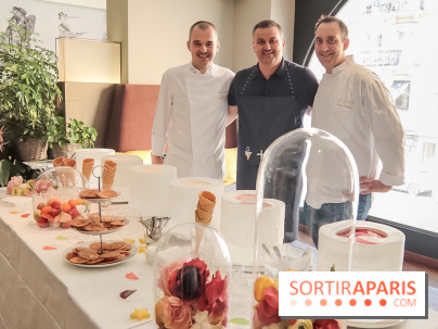 Les glaces Dalloyau by Geronimi