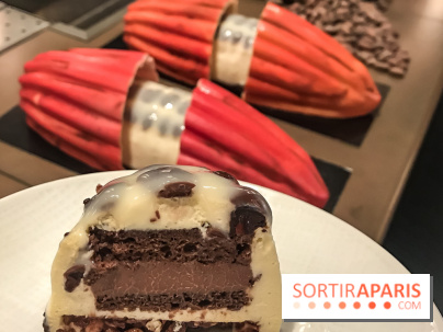 La Bûche de Noël du Park Hyatt Paris Vendôme