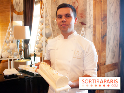 Bûche de Noël 2018 du Crillon