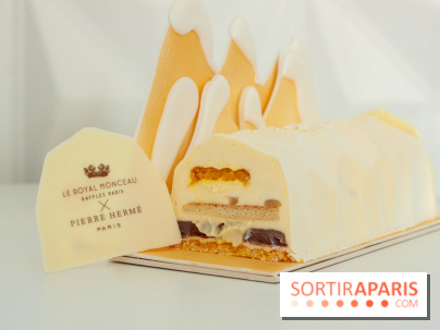 Bûche de Noël 2018 de Royal Monceau x Pierre Hermé