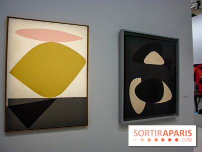 Exposition Vasarely Centre Pompidou, nos photos