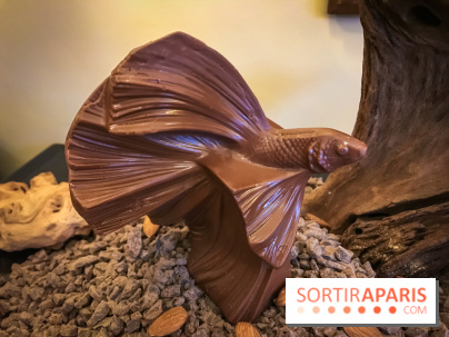 Chocolat de Pâques 2019 au Prince de Galles