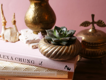 The Blond Cactus, quand le cactus passe en mode vintage