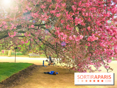 Le Jardin des Plantes